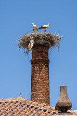 stork in nest on a factory chimney in Silves, Algarve, Portugal