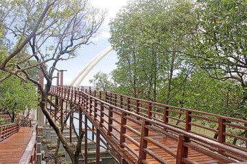 Obraz premium Incline in a raised wooden pedestrian walkway throuh a forest
