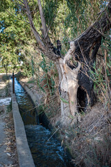 agriculture, beautiful, canal, concrete, cordillera, countryside, ditch, environment, farmland, field, grass, green, irrigation, irrigation canal, irrigation ditch, irrigation field, landscape, meadow