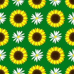 Floral pattern of sunflower and daisy blooming on green background