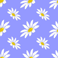 Fototapeta na wymiar Floral seamless pattern white daisy flowers on blue background
