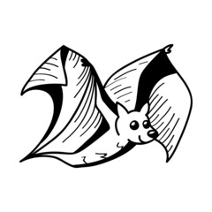 Bat line illustration in sketch style on white background. Vector illustration design template.