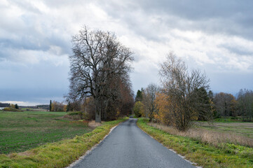 country road in autumn