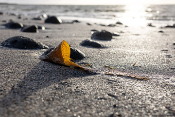 Fototapeta na wymiar Sandstrand mit Tang und Steinen im Gegenlicht