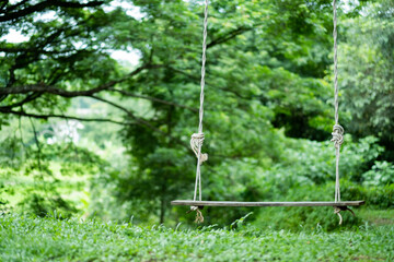 closeup swing with nature background.travel. relax time. travel on holidays