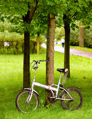 An old bicycle with rust marks, scratches, and scuffs leaned against a tree in the park. Trees, grass, path, warm sunset light. Photo.