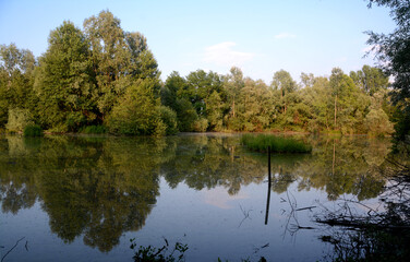 Fototapeta na wymiar Swamp in a natural park in Piedmont where you can go bird watching