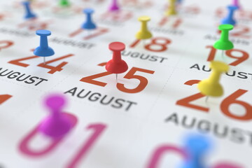 August 25 date and push pin on a calendar, 3D rendering
