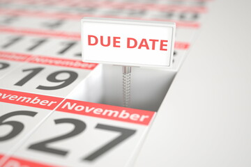 DUE DATE message on November 20 in a calendar, 3d rendering