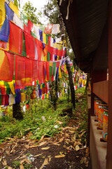 インド・シッキム州 ガントクの僧院 エンチェイ・ゴンパ