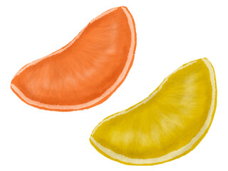 Digital image of an orange and a lemon. Sliced orange, sliced lemon. A slice of orange. A slice of lemon.