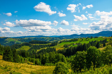 pastures of young green grass on the slopes of the mountains against the backdrop of a beautiful blue sky. High quality photo