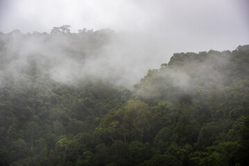 Misty mountain landscape hills at rainy day