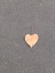 heart on the ground