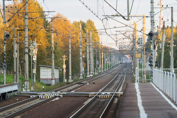 Fototapeta premium Empty train station platform with railway tracks at sunset, autumn forest on background. Perspective of electrified high-speed railroad. Transportation concept. 