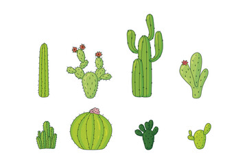 Set of different vector colorful cacti desert plants, hand drawn style vector illustration isolated on white background. Cactus icon for greeting card and invitations.