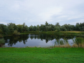 Fototapeta na wymiar Blick auf ein kleines Gewässer im Nationalpark Unteres Odertal in Brandenburg