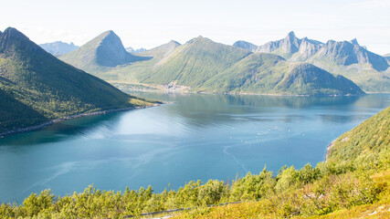Typische norwegische Fjord Landschaft