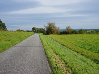 Fototapeta na wymiar Radweg auf einem Deich im Nationalpark Unteres Odertal in Brandenburg 