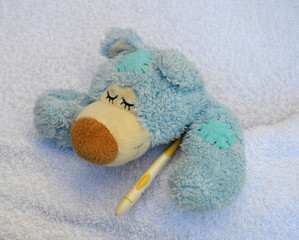 Teddy is sick