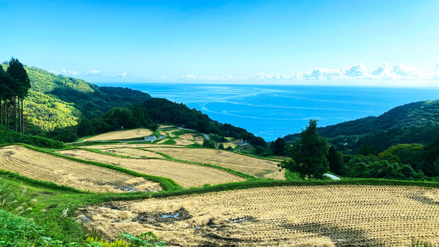 新潟県佐渡市 佐渡島の海をのぞむ岩首昇竜棚田