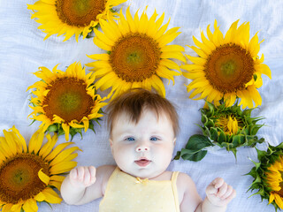 beautiful cute white girl of five months lies in sunflowers