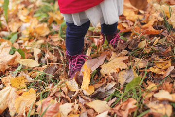 Small girls feet standing in autumn leaves. Soft selective focus.
