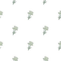 Seamless pattern chamomile on white background. Beautiful ornament summer cute flowers.