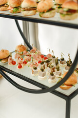 Buffet snacks. Party catering, fast food, burgers, capapé and bruschetta