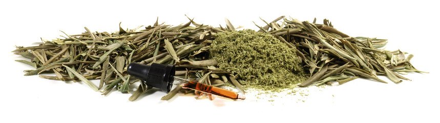 Olive Leaf Extract with Oleuropein Oil isolated on white Background - Panorama