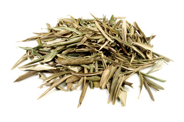 Dried Olive Leaves isolated on white Background