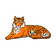 Fototapeta na wymiar illustration of tiger vector design
