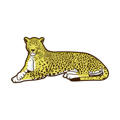 illustration of leopard vector design