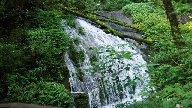 lan sa ded waterfall on kew mae pan nature trail which is a tropical rainforest, famous tourist attraction of Thai people.
