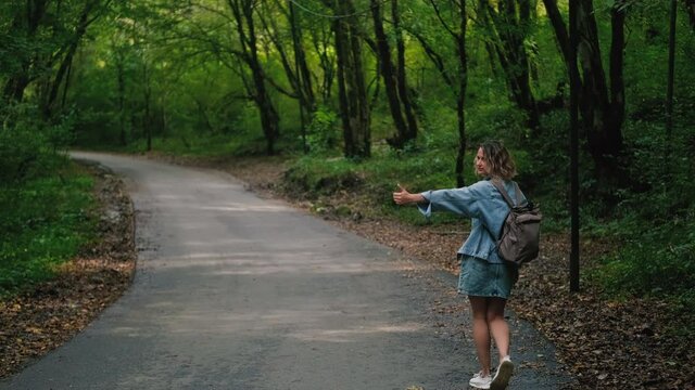 A young beautiful Caucasian blonde woman in casual clothes hitchhikes along a forest road. Catches a car with her hand on the side of the highway.