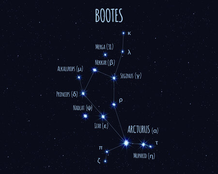 Bootes (The Herdsman) constellation, vector illustration with the names of basic stars against the starry sky