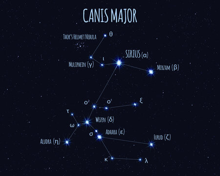 Canis Major (The Great Dog) constellation, vector illustration with the names of basic stars against the starry sky