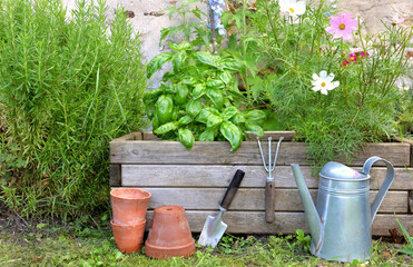 aromatic plant and and flowers in a wooden gardener with gardening tools