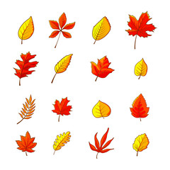 illustration of autumn leaf vector design isolated set bundle