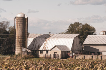 Fototapeta na wymiar Aged Farm and Silo in Autumn 