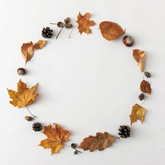 Round frame for text message from autumn leaves on white background, autumnal minimal concept