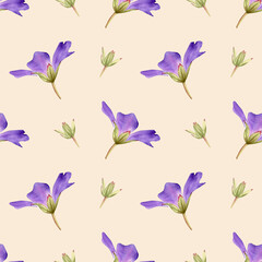 Seamless geranium flowers pattern. Watercolor floral background with violet and Purple flower, bud for textile, womens day decor