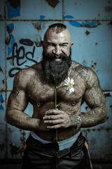 A brutal man with a beard naked torso holds daisies in his hands