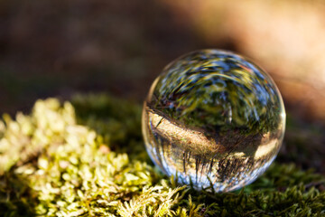 The concept of the environment. The crystal ball lies in the moss with an inverted view of the forest. Focus on the crystal ball lying on the moss. Close-up