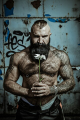 Fototapeta na wymiar A brutal man with a beard naked torso holds daisies in his hands