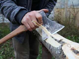 peeling off strips of bark from a fresh ash trunk with a sharp ax blade, village work on the preparation of wood material, removing bark from a sawn tree trunk