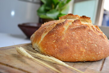 Pão italiano, italian bread, bread and wheat, toasted bread