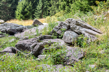 Fototapeta na wymiar Rocks on a grass field