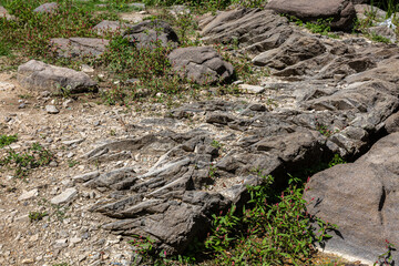 Rocks on a grass field