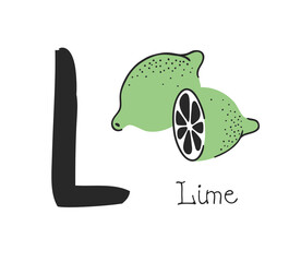 Hand drawn set of fruit and letter. Vector artistic drawing food and alphabet. Summer illustration lime